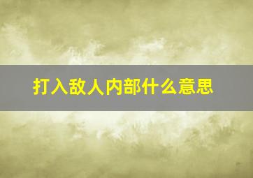 打入敌人内部什么意思