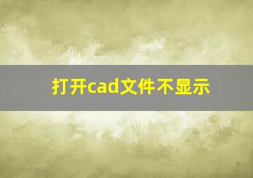 打开cad文件不显示