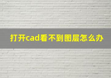 打开cad看不到图层怎么办