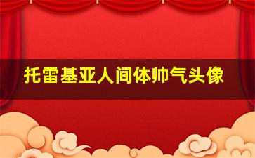 托雷基亚人间体帅气头像