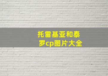 托雷基亚和泰罗cp图片大全