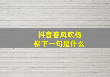 抖音春风吹杨柳下一句是什么