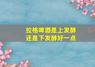 拉格啤酒是上发酵还是下发酵好一点