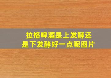 拉格啤酒是上发酵还是下发酵好一点呢图片