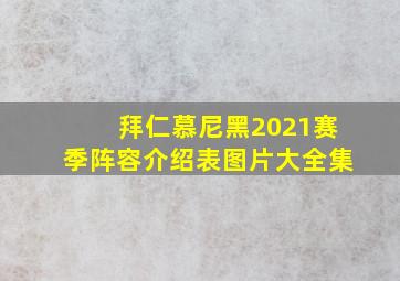 拜仁慕尼黑2021赛季阵容介绍表图片大全集