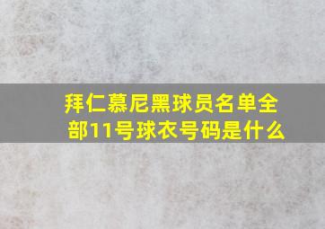 拜仁慕尼黑球员名单全部11号球衣号码是什么