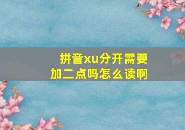 拼音xu分开需要加二点吗怎么读啊