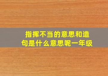 指挥不当的意思和造句是什么意思呢一年级