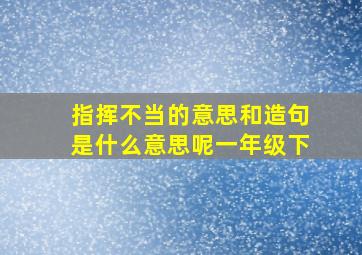 指挥不当的意思和造句是什么意思呢一年级下