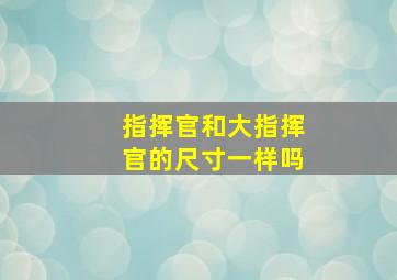 指挥官和大指挥官的尺寸一样吗