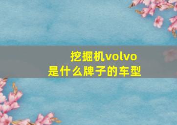 挖掘机volvo是什么牌子的车型