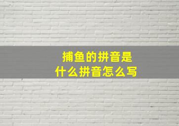 捕鱼的拼音是什么拼音怎么写