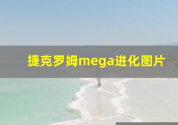 捷克罗姆mega进化图片