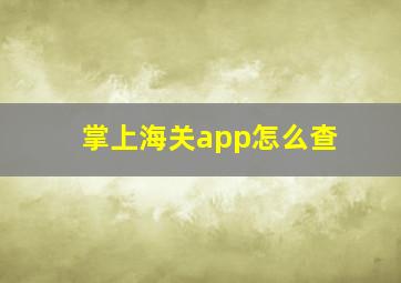 掌上海关app怎么查