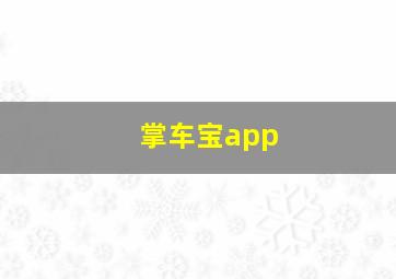 掌车宝app