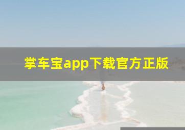 掌车宝app下载官方正版