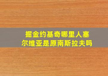 掘金约基奇哪里人塞尔维亚是原南斯拉夫吗