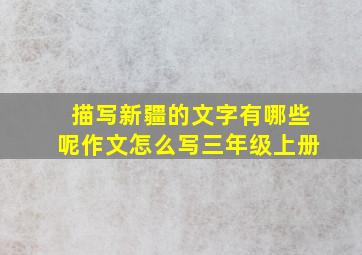 描写新疆的文字有哪些呢作文怎么写三年级上册