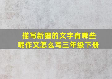 描写新疆的文字有哪些呢作文怎么写三年级下册