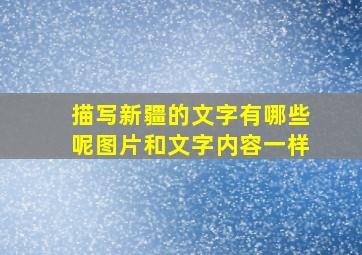 描写新疆的文字有哪些呢图片和文字内容一样