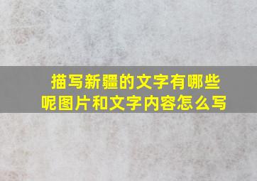 描写新疆的文字有哪些呢图片和文字内容怎么写