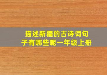 描述新疆的古诗词句子有哪些呢一年级上册