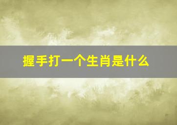 握手打一个生肖是什么