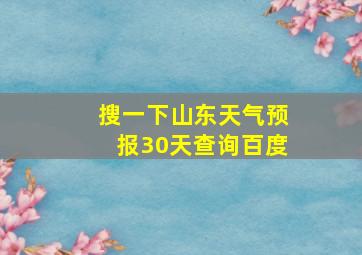 搜一下山东天气预报30天查询百度