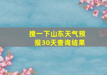 搜一下山东天气预报30天查询结果