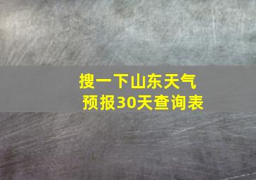 搜一下山东天气预报30天查询表