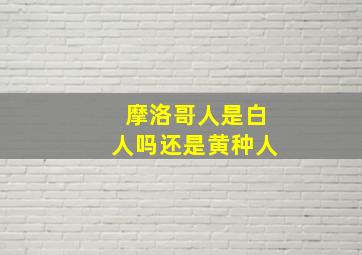 摩洛哥人是白人吗还是黄种人