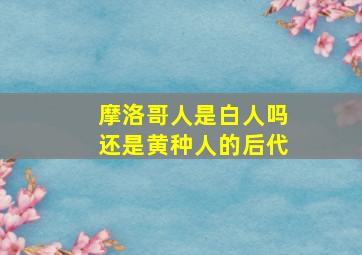 摩洛哥人是白人吗还是黄种人的后代