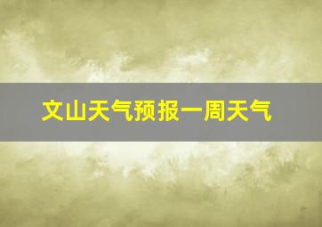 文山天气预报一周天气