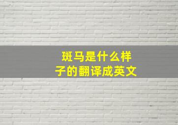 斑马是什么样子的翻译成英文