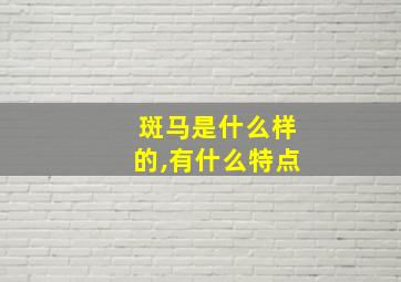 斑马是什么样的,有什么特点