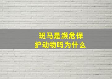 斑马是濒危保护动物吗为什么