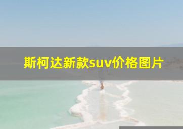 斯柯达新款suv价格图片