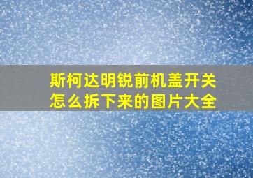 斯柯达明锐前机盖开关怎么拆下来的图片大全