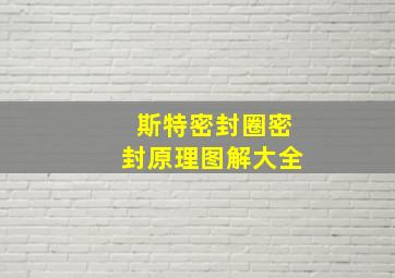 斯特密封圈密封原理图解大全