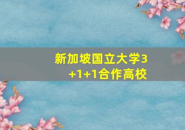 新加坡国立大学3+1+1合作高校