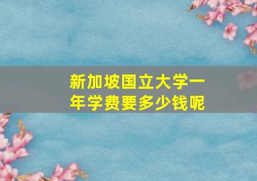 新加坡国立大学一年学费要多少钱呢