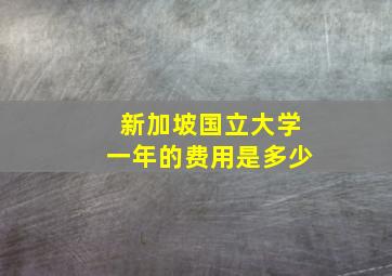 新加坡国立大学一年的费用是多少