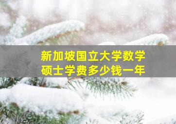 新加坡国立大学数学硕士学费多少钱一年