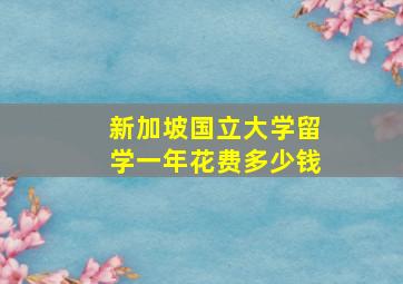 新加坡国立大学留学一年花费多少钱