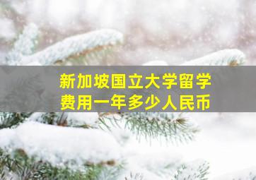 新加坡国立大学留学费用一年多少人民币