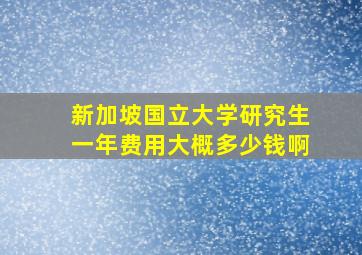 新加坡国立大学研究生一年费用大概多少钱啊