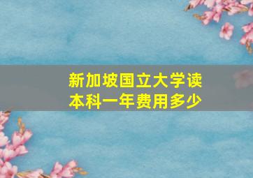 新加坡国立大学读本科一年费用多少