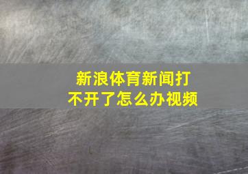 新浪体育新闻打不开了怎么办视频