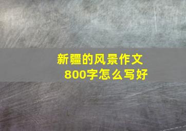 新疆的风景作文800字怎么写好