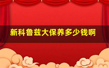 新科鲁兹大保养多少钱啊